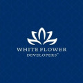 whiteflowerdeveloper